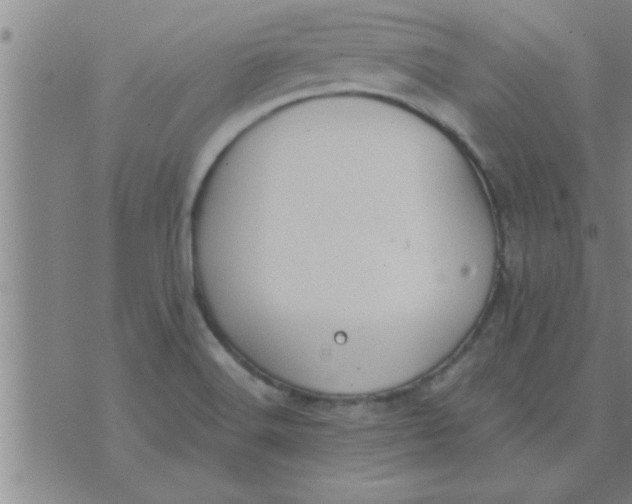 X0000074341516200609152109