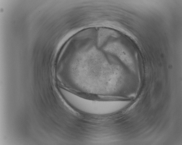 X0000074341517200609152109