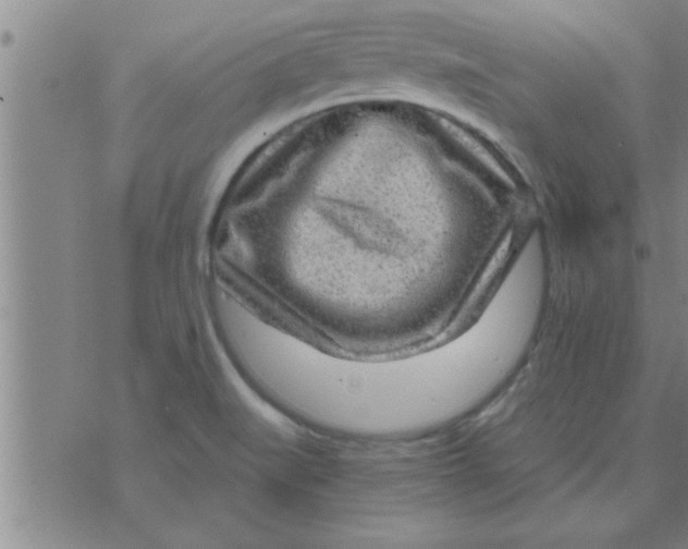 X0000074341519200609152109