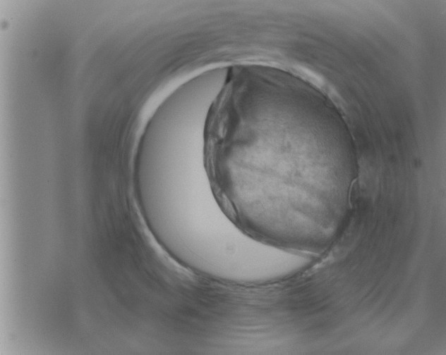 X0000074341520200609152109