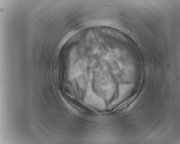 X0000074341521200609152109