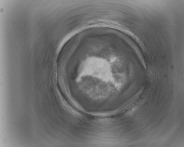 X0000074341522200609152109