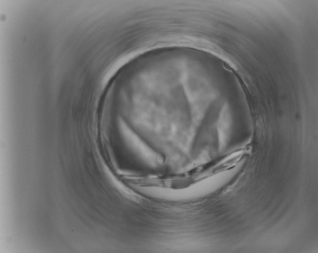 X0000074341523200609152109