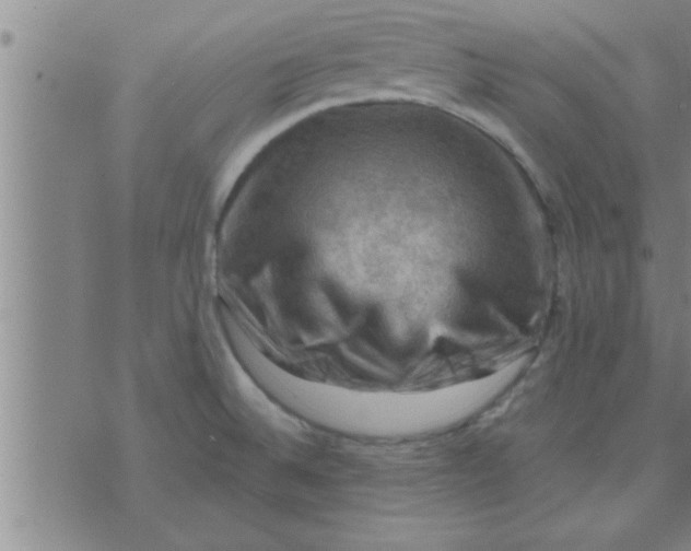 X0000074341524200609152109