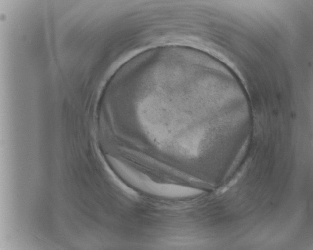 X0000074341525200609152109