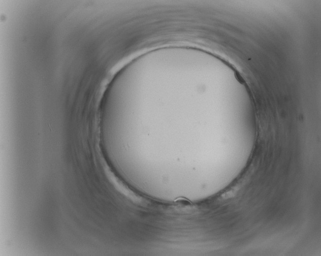 X0000074341526200609152109