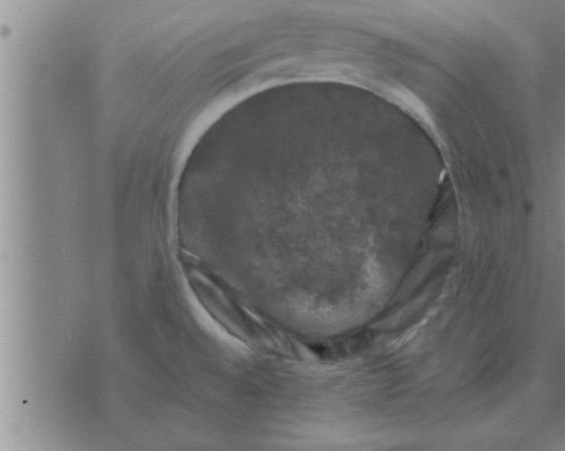 X0000074341528200609152109