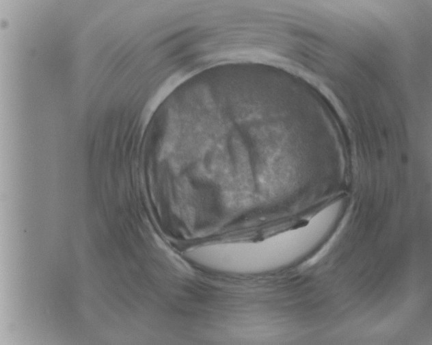 X0000074341529200609152109