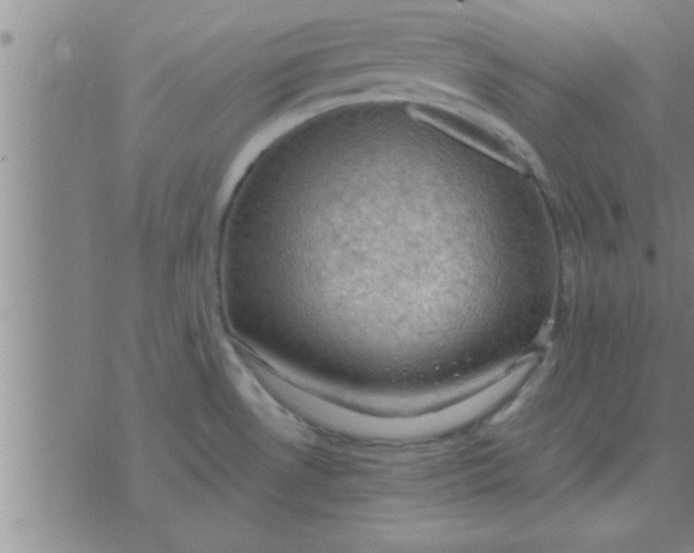 X0000074341530200609152109