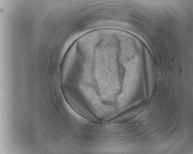 X0000074341531200609152109