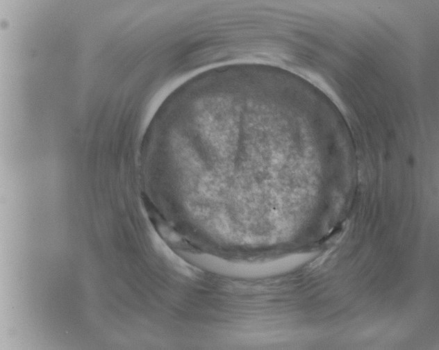 X0000074341532200609152109