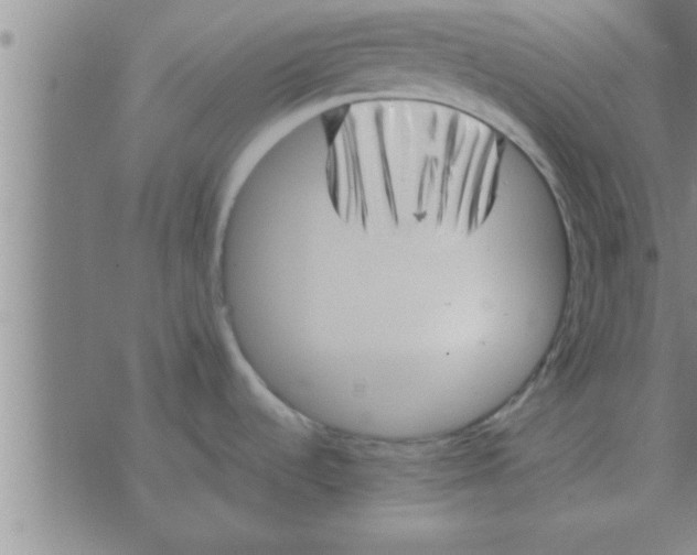 X0000074341536200609152109