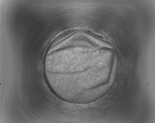 X0000074340002200609230130