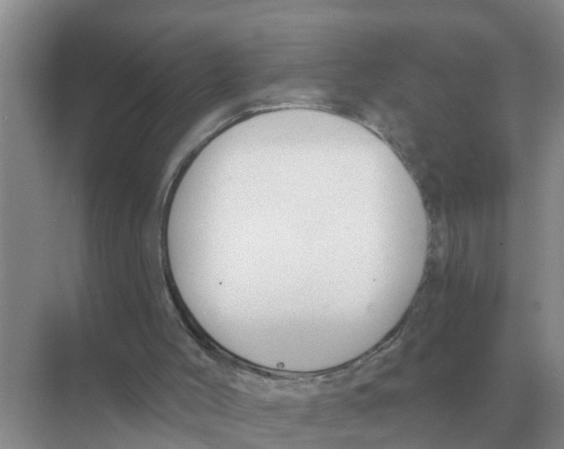 X0000074340004200609230130