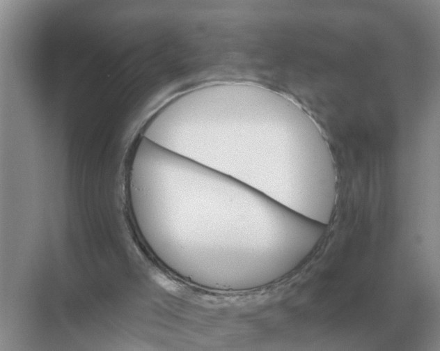 X0000074340005200609230130