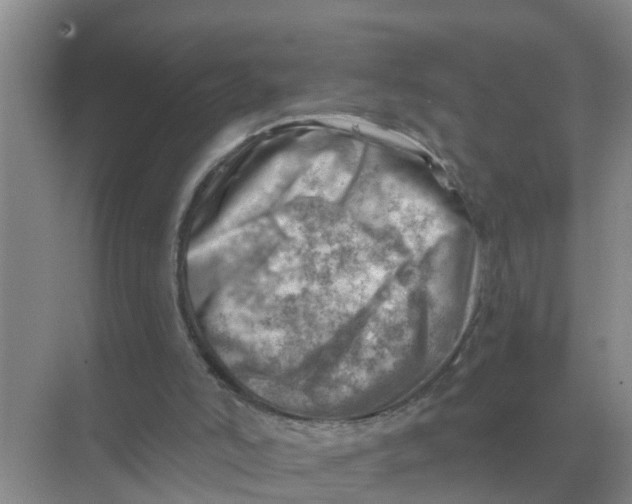 X0000074340006200609230130