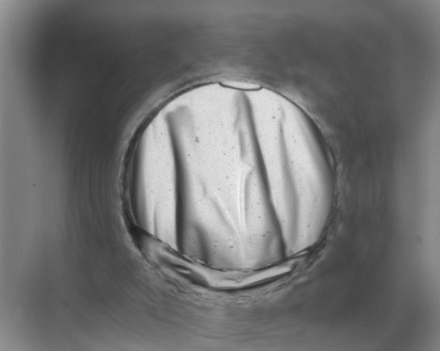 X0000074340007200609230130