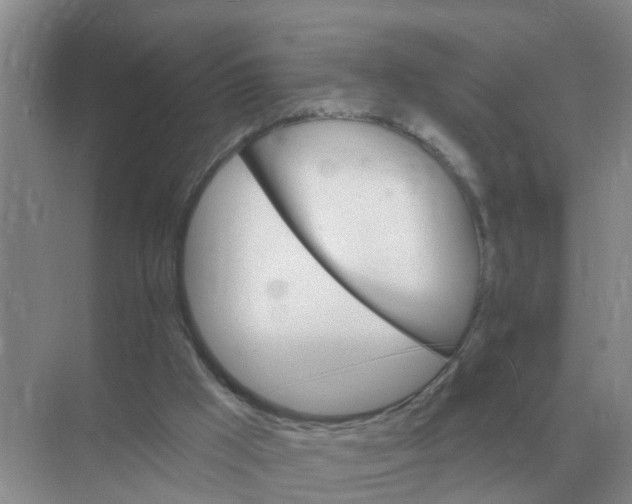 X0000074340009200609230130