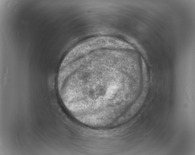 X0000074340010200609230130