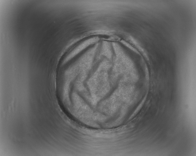 X0000074340011200609230130