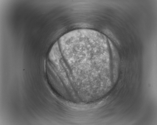 X0000074340014200609230130