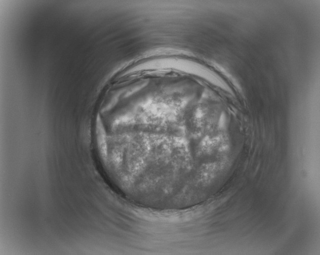 X0000074340015200609230130