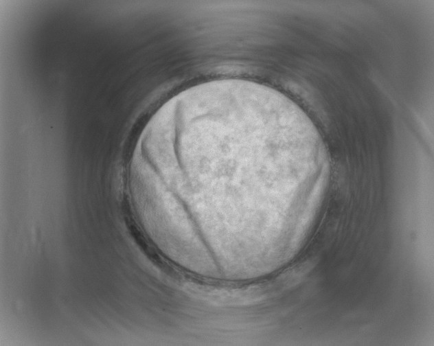 X0000074340016200609230130