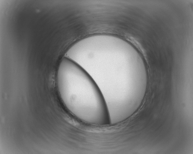 X0000074340017200609230130