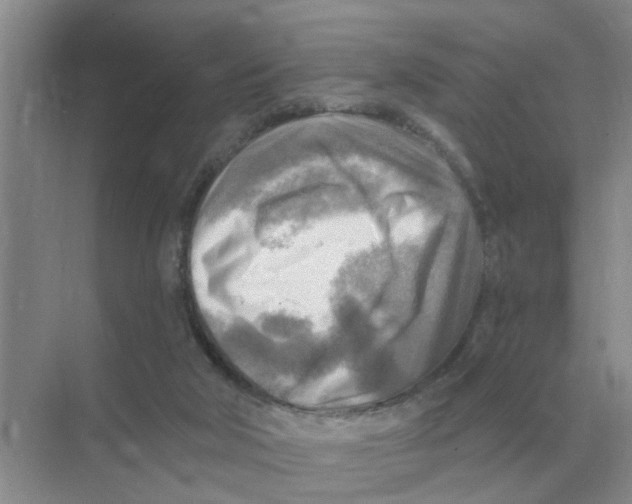 X0000074340018200609230130