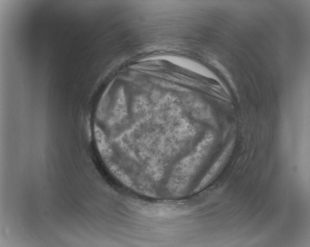 X0000074340020200609230130