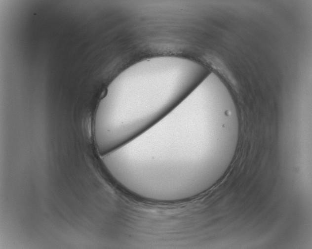 X0000074340021200609230130