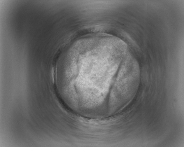 X0000074340022200609230130