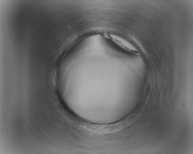 X0000074340023200609230130