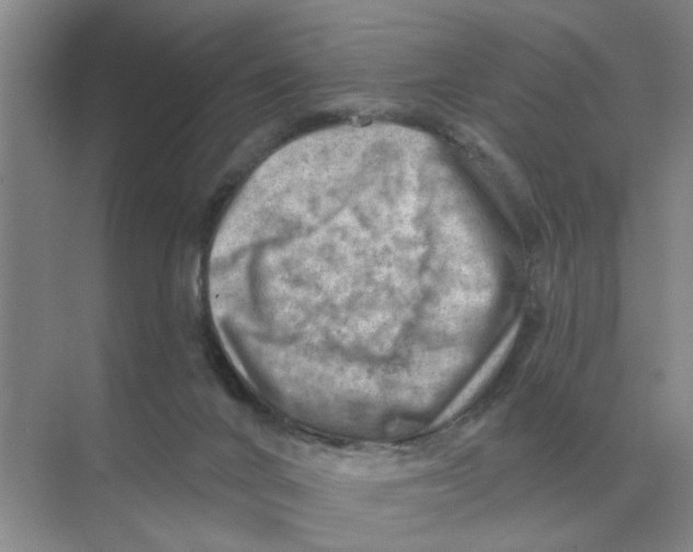 X0000074340024200609230130