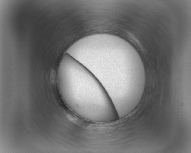 X0000074340025200609230130