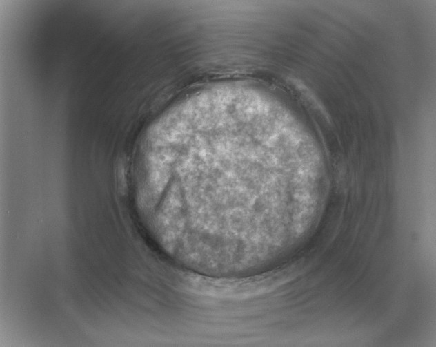 X0000074340026200609230130