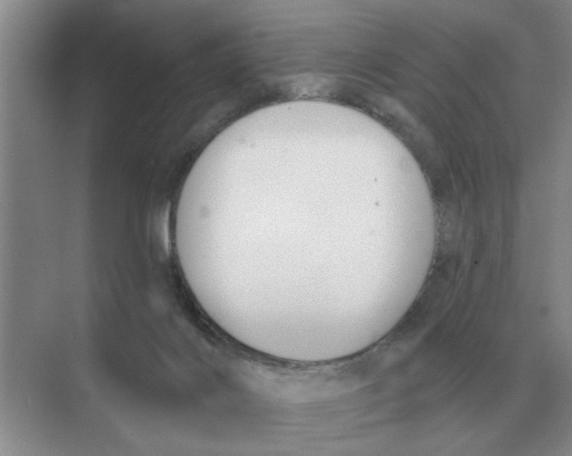 X0000074340028200609230130