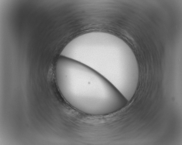 X0000074340029200609230130