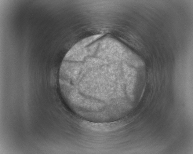 X0000074340030200609230129