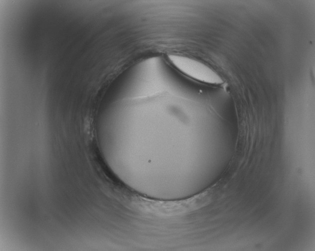 X0000074340031200609230129