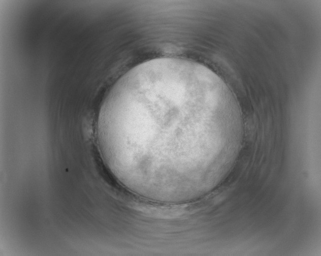 X0000074340032200609230129