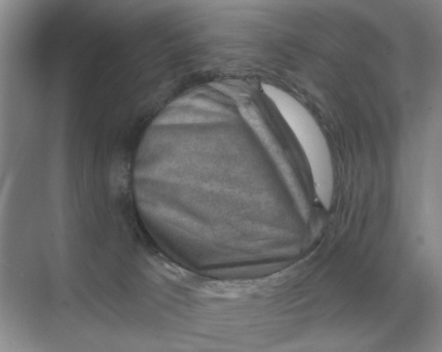 X0000074340033200609230129