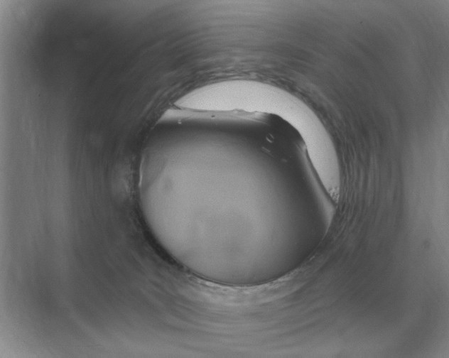 X0000074340035200609230129