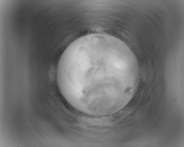 X0000074340036200609230129