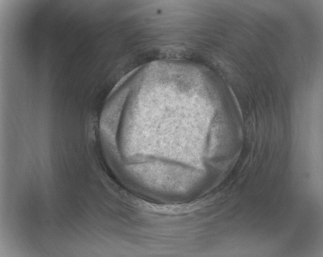 X0000074340038200609230129