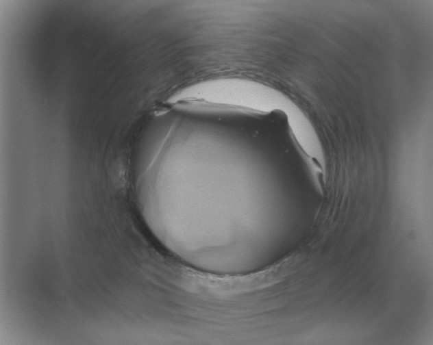 X0000074340039200609230129