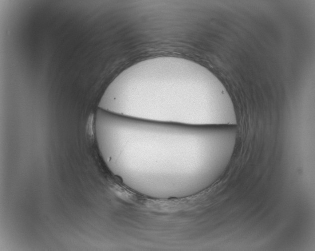 X0000074340041200609230129