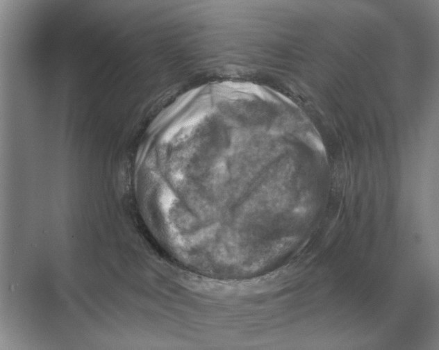 X0000074340043200609230129