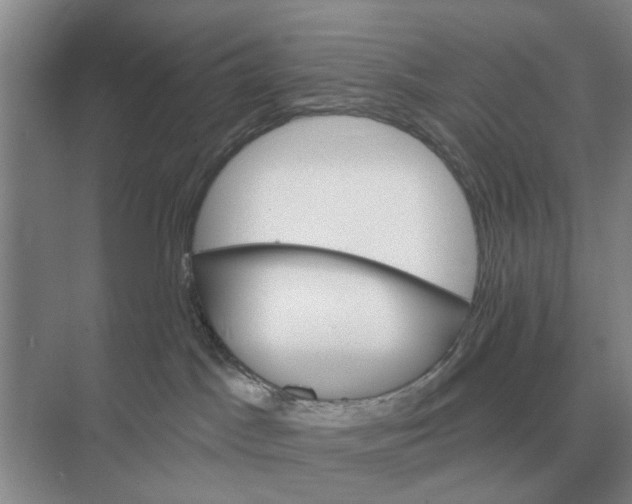 X0000074340045200609230129