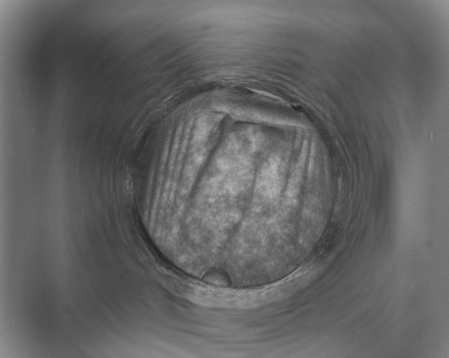 X0000074340048200609230129